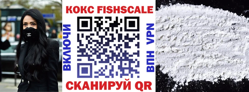 Купить закладки  Дзержинский  COCAIN Fish Scale 