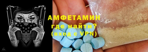 крисы Корсаков