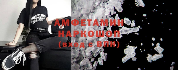 крисы Корсаков