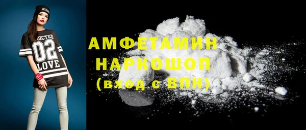 крисы Корсаков