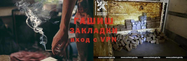 крисы Корсаков