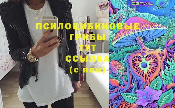 крисы Корсаков