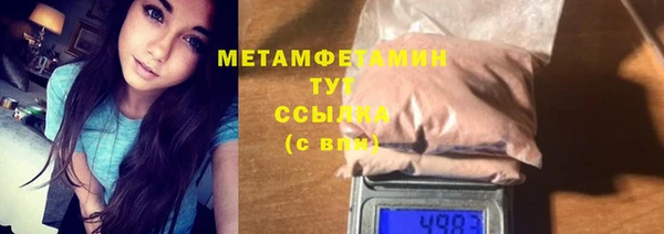 крисы Корсаков
