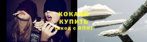 крисы Корсаков