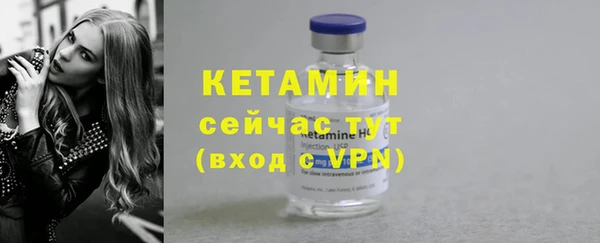 крисы Корсаков