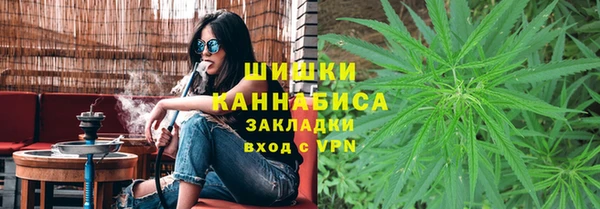 крисы Корсаков