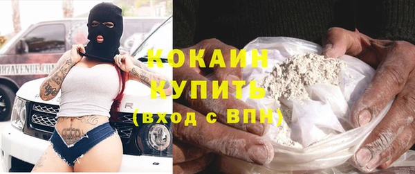 крисы Корсаков