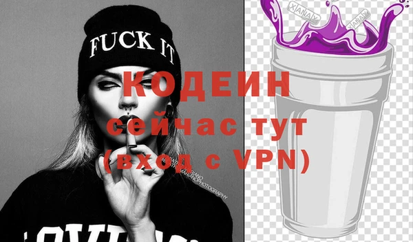 крисы Корсаков