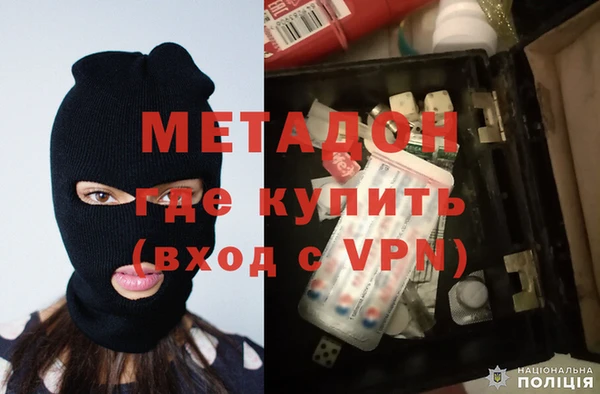 крисы Корсаков