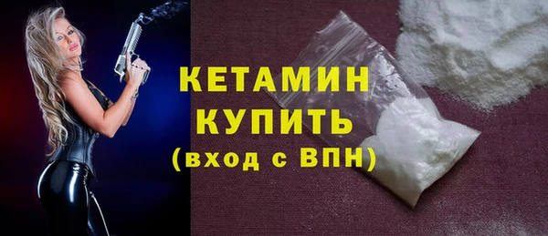 крисы Корсаков